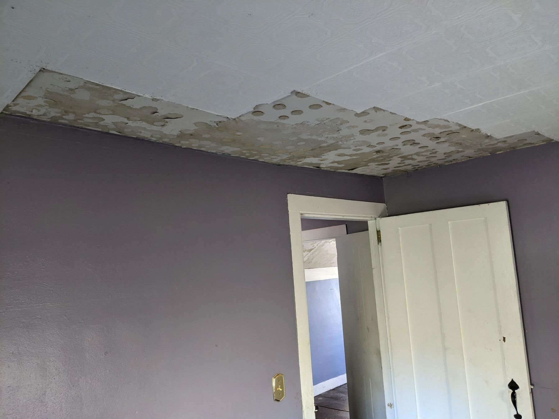 Room with a damaged, peeling ceiling above a purple wall and open door