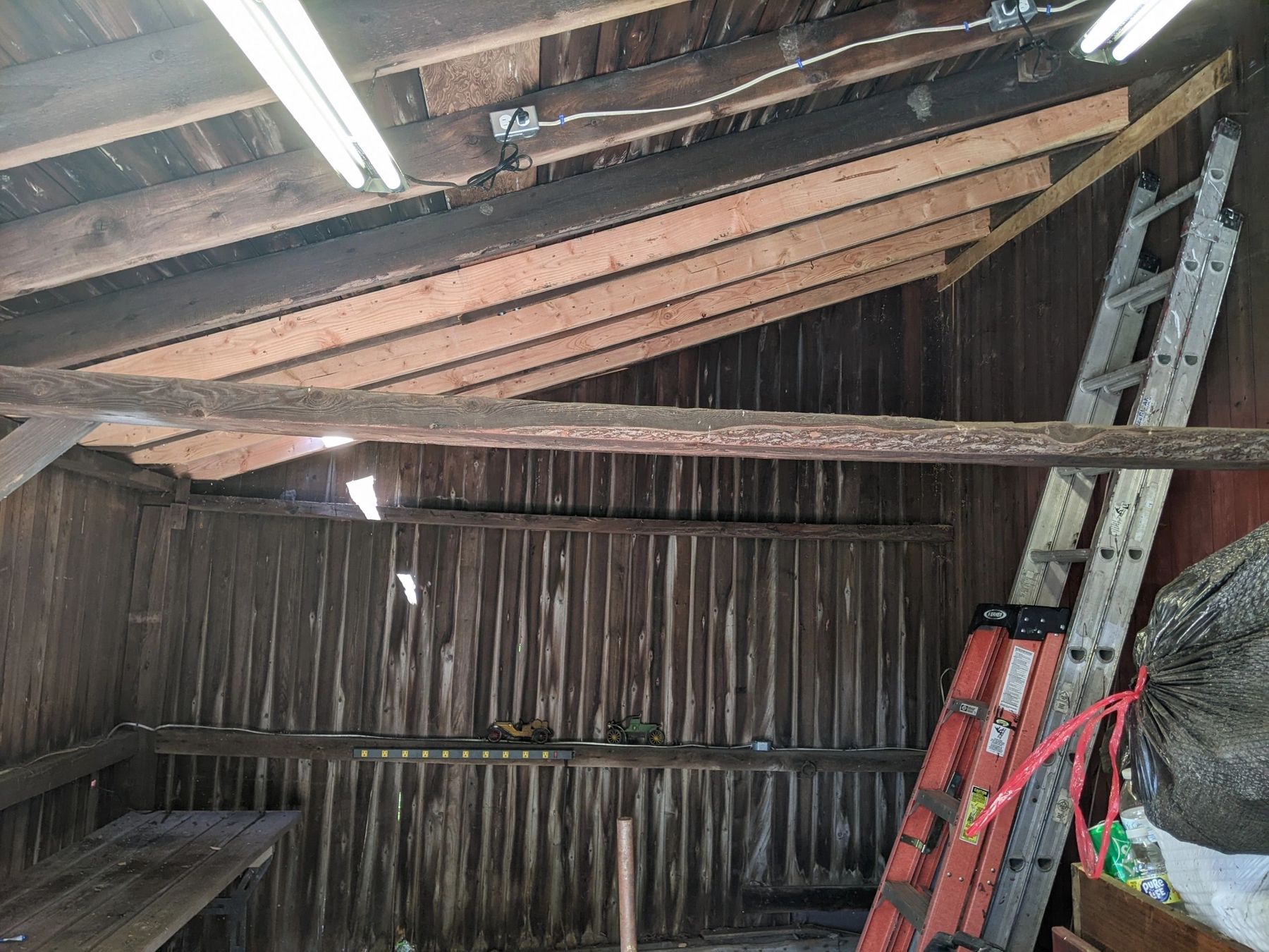 Roof rafters and decking from below, showing new timbers sistered alongside tree-damaged rafters